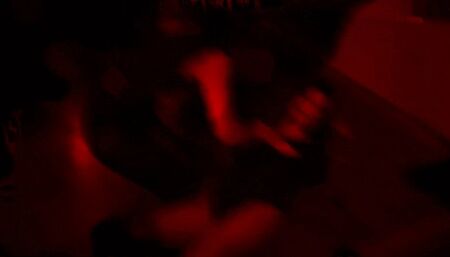 Trained Robin Serves new Master