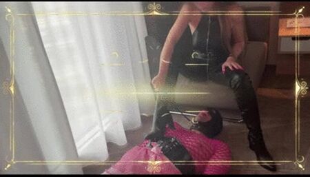 Dominakuss 12 - GERMAN