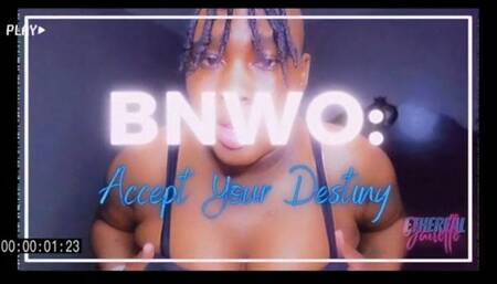 BNWO: Accept Your Destiny