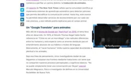 INTELIGENCIA ARTIFICIAL PARA HABLAR CON ANIMALES - MYBESTREPUTATION