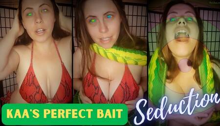 Kaa's Perfect Bait