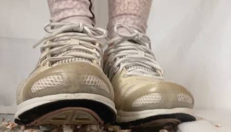 A Pov and Crushing Experience in Adidas Cool Climate Sneakers - HD