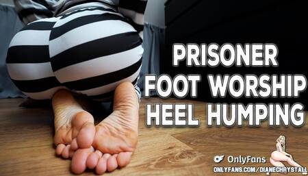 Foot worship prisoner MILF barefoot heel humping wrinkled soles big feet