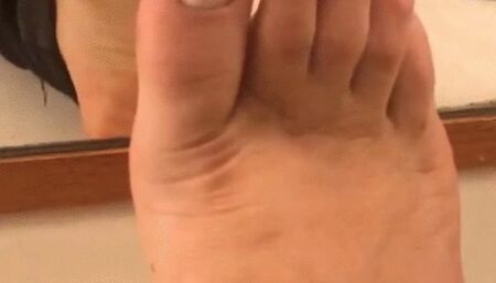 pig come and smell my feet