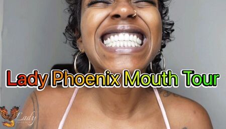 Lady Phoenix  Mouth Tour