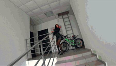 Perfect no one is hom a