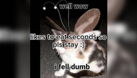 My first video but its on Twitter:)