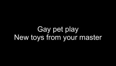 Puppy play - new toys from your master