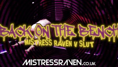 [793] Back on the Bench