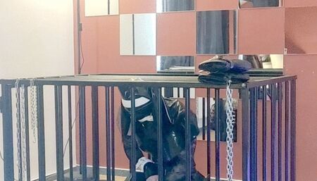 Sissy on the cage train sucking strap - on and wanna worship me