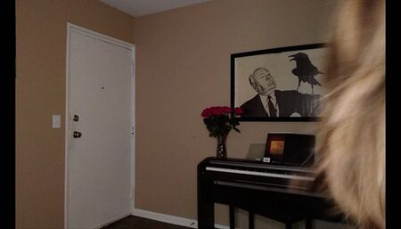 Embarrassed Bunny Liz River