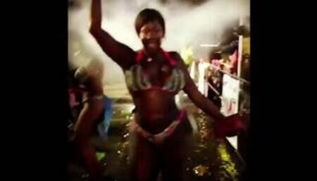 Sibongile Cummings: Ebony Goddess ASS Collage - Ameman