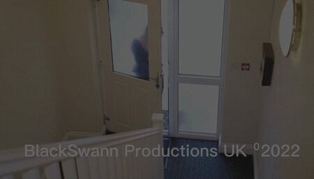 Agent BlackSwann gets crossed and ends up being gagged