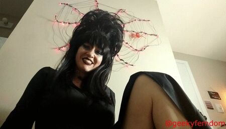 Elvira Mistress of the Dark collection