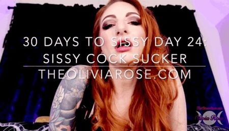 30 Days To Sissy Day 24: Sissy Cock Sucker (MP4 SD)