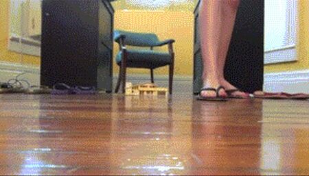 Saige The Giant Landlord