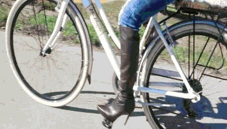 The fall MP4(1280x720)FHD