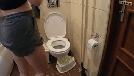Fatty girl on toilet trying her best to do the perfect brownie