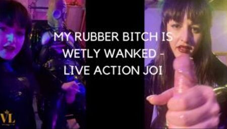 MY RUBBER GIMP IS WETLY WANKED