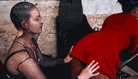 First Contact WMV Version