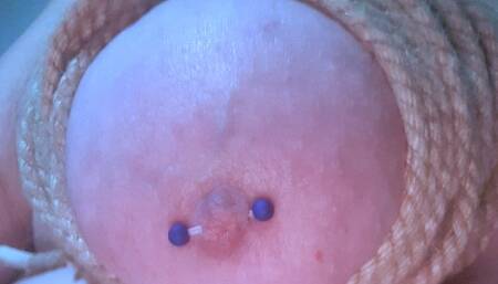 BBW apron and breast bondage