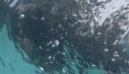 Underwater selfie play time