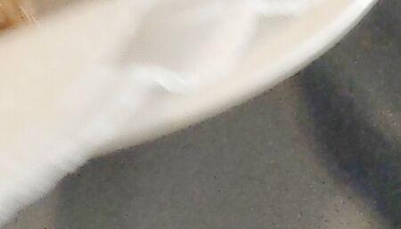 Thanksgiving Feets Part B 2022