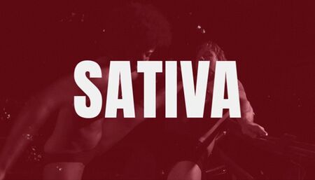 SEXBATTLE RING - BOUT #26 - THE SERIAL BALLBUSTER - SATIVA in 4K!