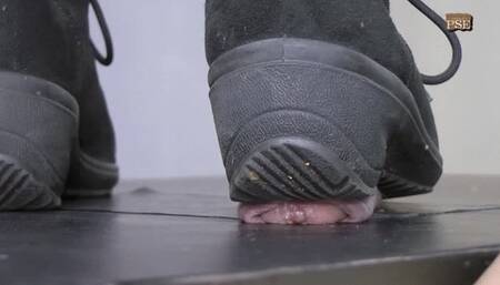 MB240 CBT with boots