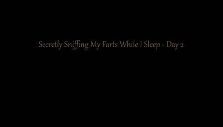 Secretly Sniffing My Farts While I Rest - Day 2 (Audio Only)