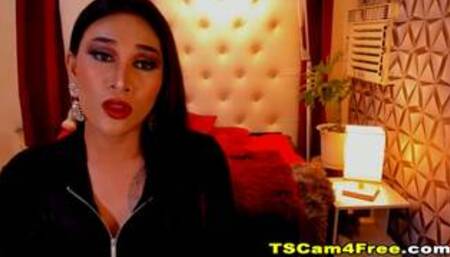 Lovely Shemale Hottie Plays With Her Lady Cock