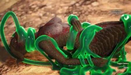 All Sex Scenes + halloween scenes Carnal Instinct + multiple characters