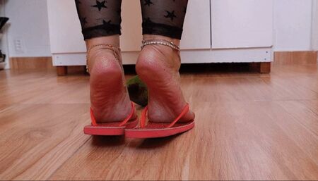 Dolce Amaran in a sexy avocado crush FOR MOBILE DEVICES - CRUSH – FOOD CRUSH – SOFT CRUSH – FRUIT CRUSH – AVOCADO CRUSH – FOOT FETISH – FRUIT MESS – MESS - MESSY – SPLOSHING - SOLES - ASS - LACE DRESS - FAT ASS