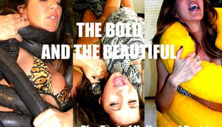 The Best of Hollywood (MP4)