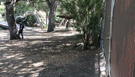 Girl gets her ball from the neighbor and gets a good balling