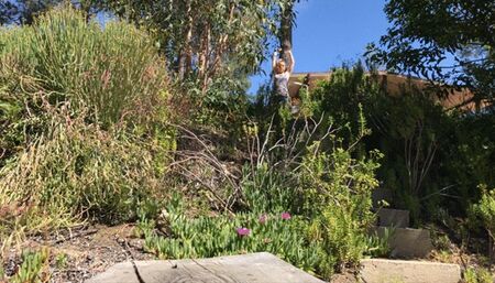 Teenage daughter fucks the gardener