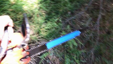 Woodcutter and the Nymph