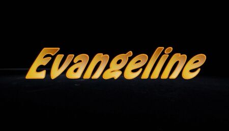 The Charity Event Slut training