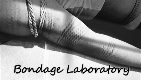 Bondage experiment - Movability test 1