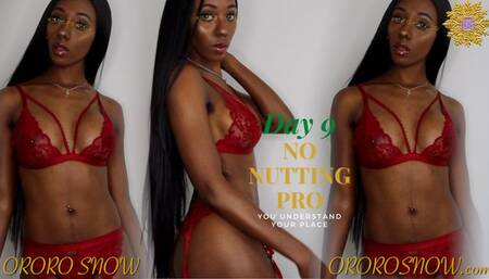 Day 9 - No Nutting Pro, Stroke twice as long