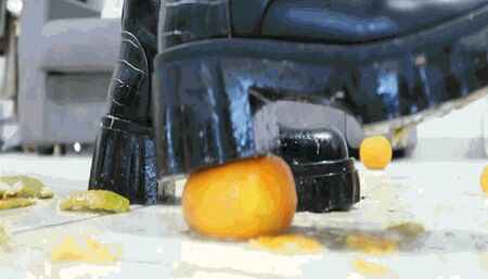 Oranges and tangerines scattered around the kitchen AVI(1280x720)FHD