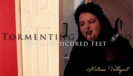 Tormenting Husband With Pedicured Feet (wmv)