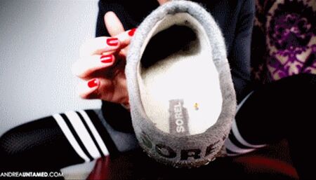 The Tiny Slipper Cleaner