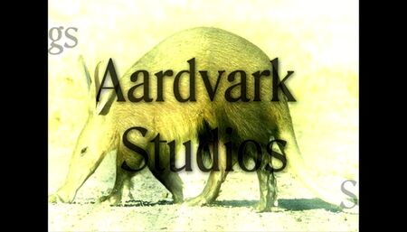 SiteSet 379- Trash the White 120mm Heels