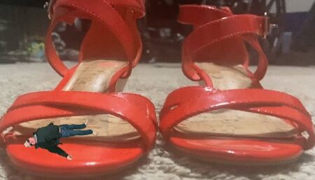 While giantess is away tiny plays