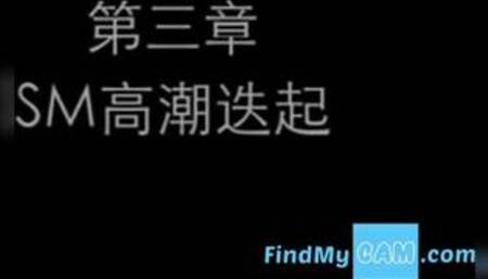 Chinese Amateur girl Orgasms style