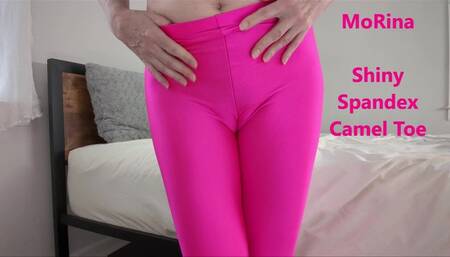 Shiny Spandex Camel Toe