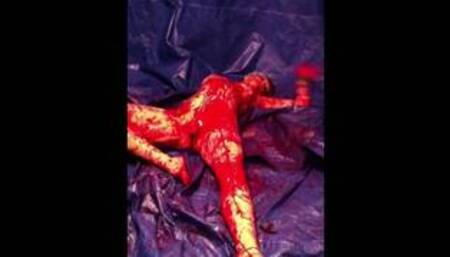 Vandal Vixen Zombie Whore Solo Squirt