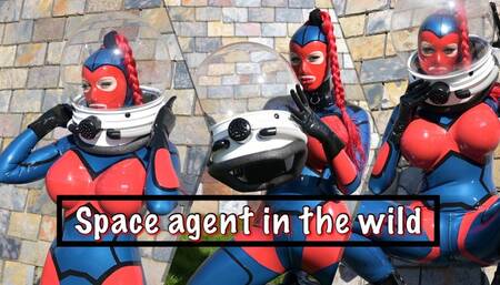 Space agent in the wild