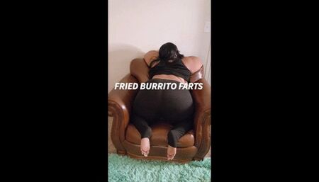 FRIED BURRITO FARTS